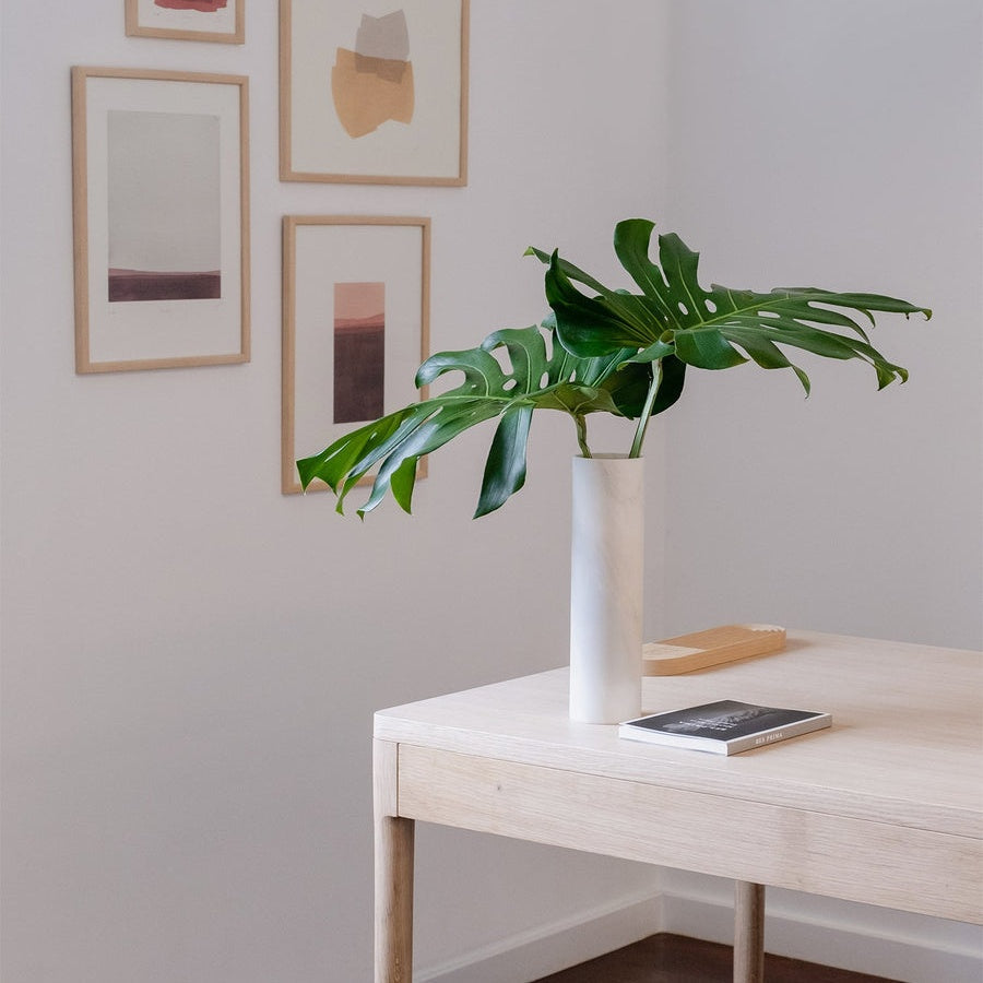 Ash: Innovative Strength and Contemporary Elegance in Designer Furniture