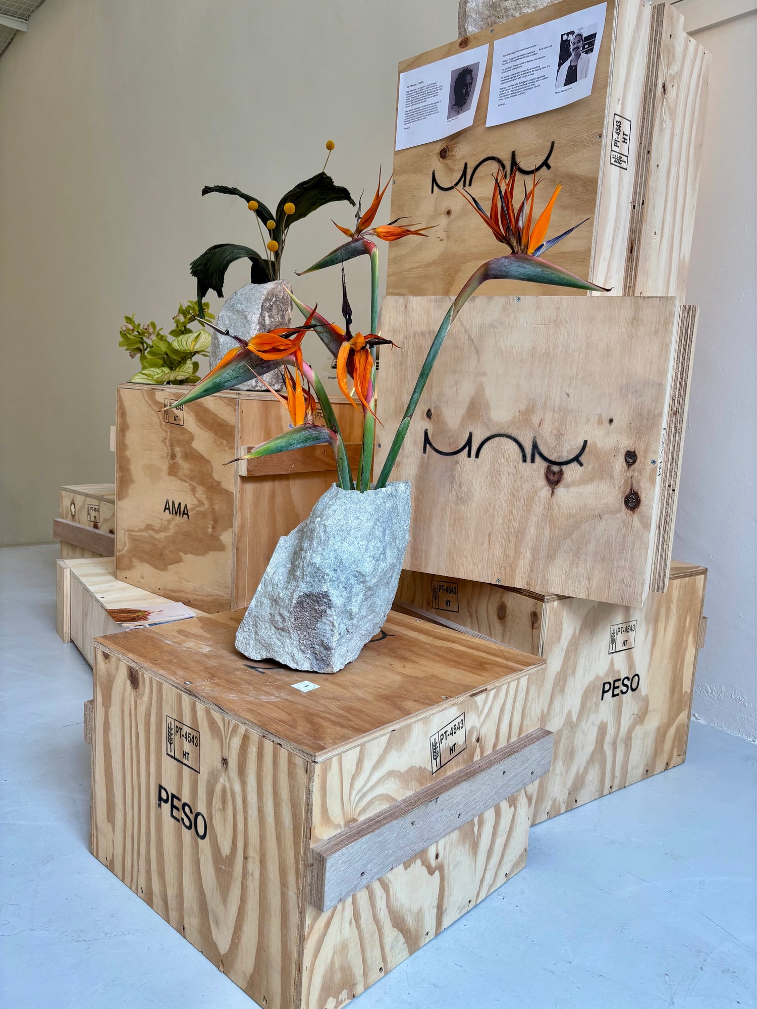 Mor Design opens its new studio with a poetic clash of stone and flower