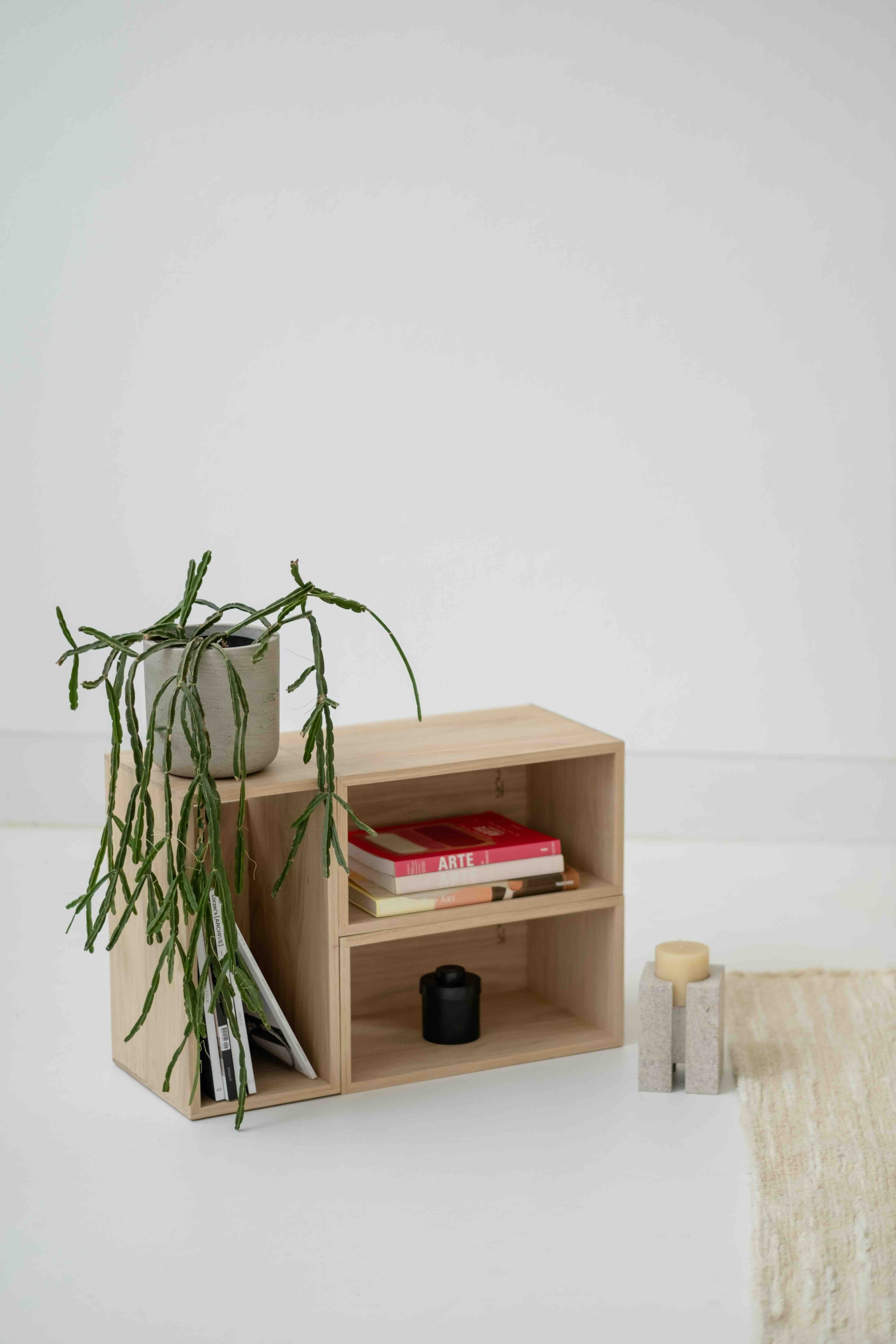 CAJON - Minimalist Modern box