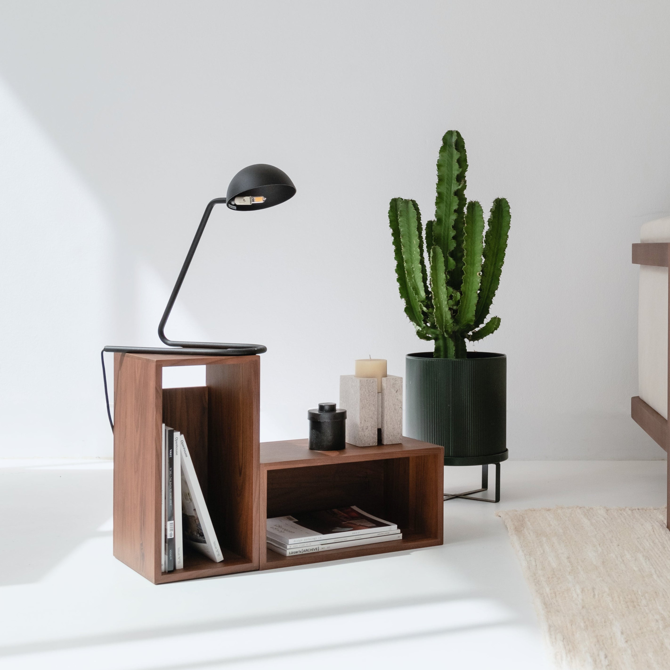 Modern living room with a sofa, side table, and cactus plant.