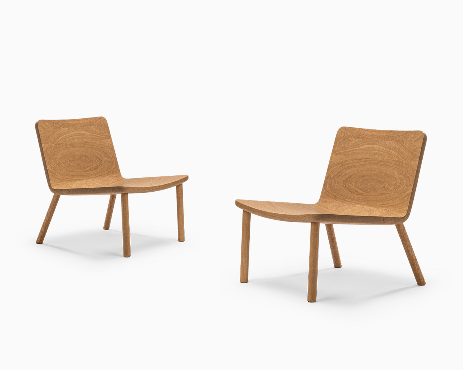 Minimalist Modern Lounge Chair in Natural Oak Allay - 2 Chairs